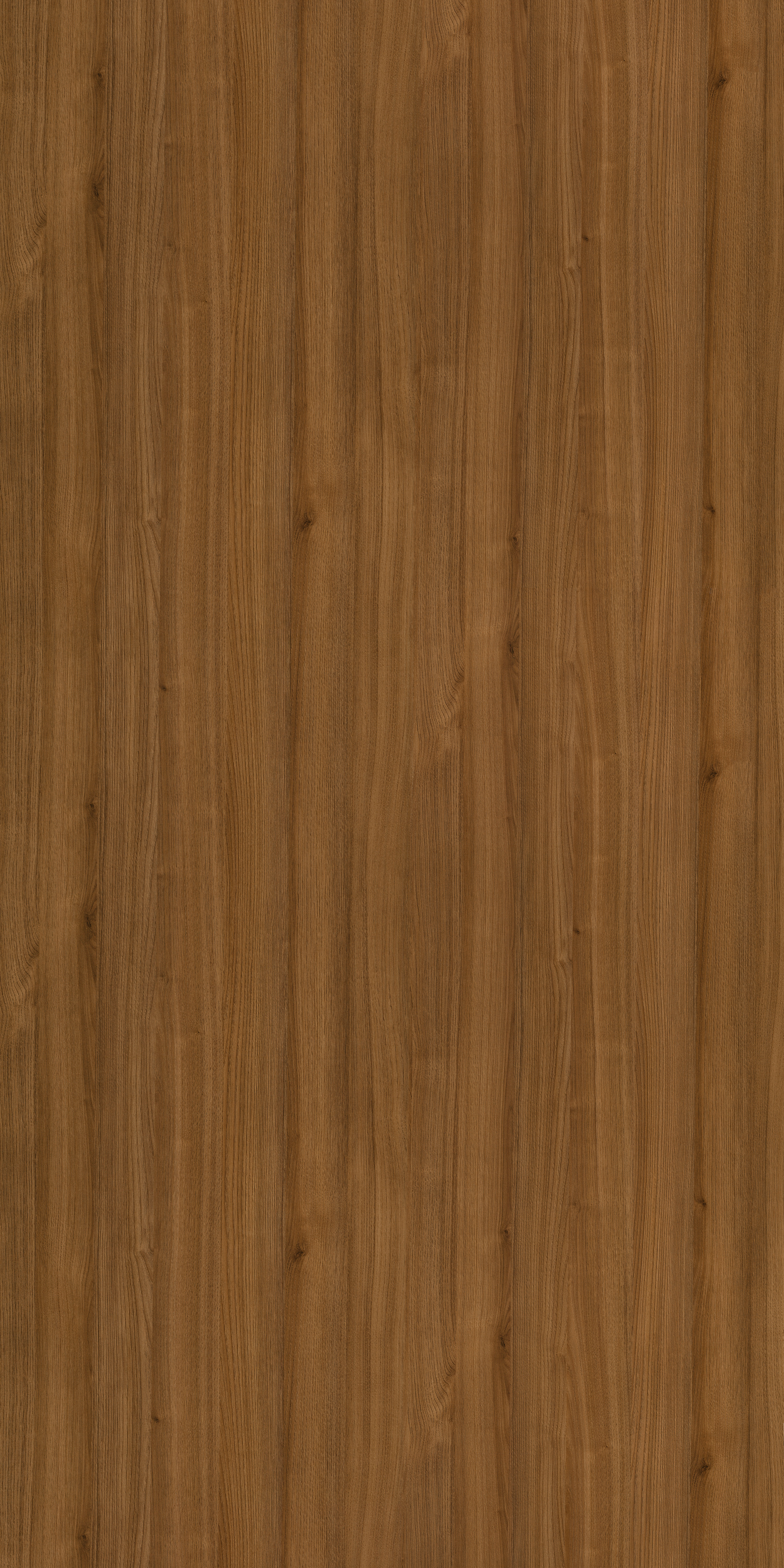 7211  AMERICAN OAK 